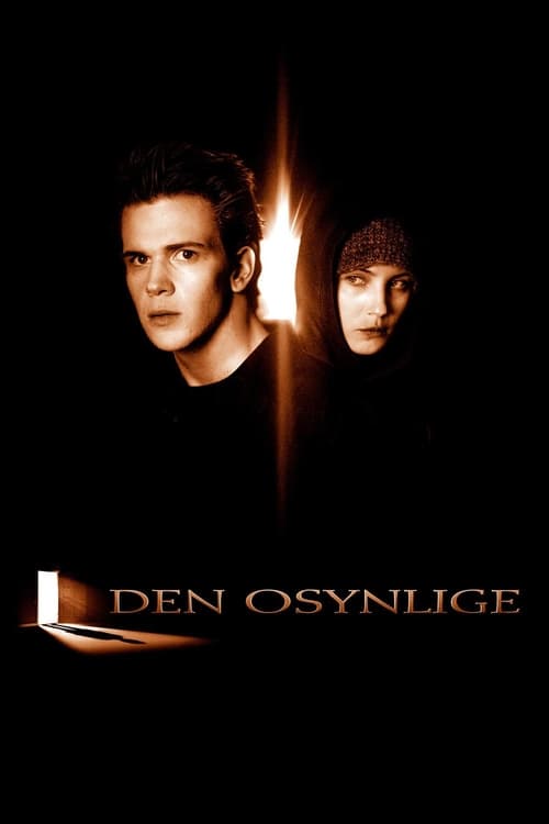 Movie poster for The Invisible (2002)