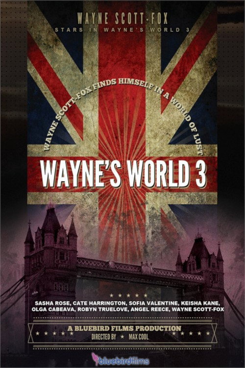 Movie poster for Wayne's World 3 (2008)