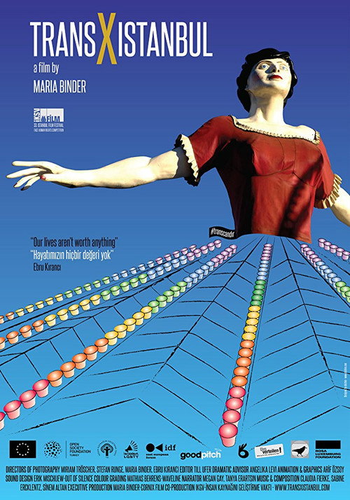 Movie poster for Trans X Istanbul (2014)