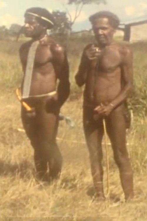 Movie poster for Among the Papoo of Irian Jaya (1987)