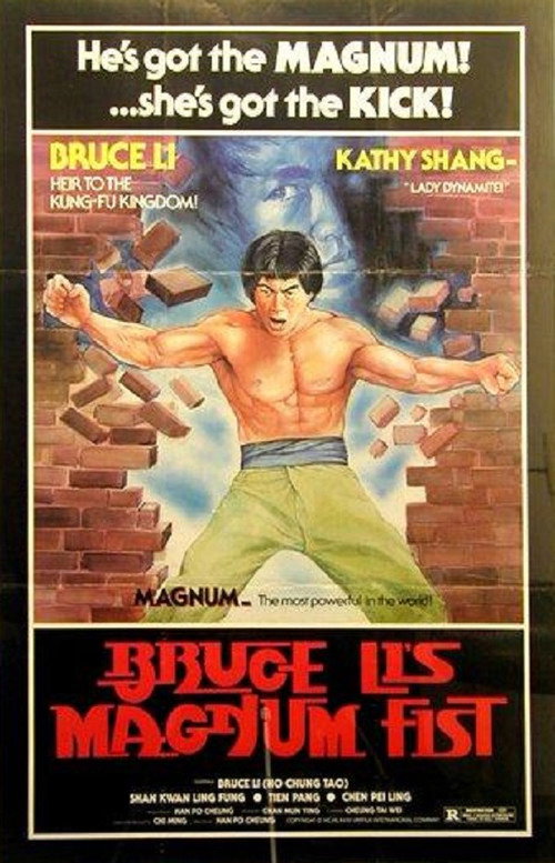 Movie poster for Bruce Li's Magnum Fist (1978)