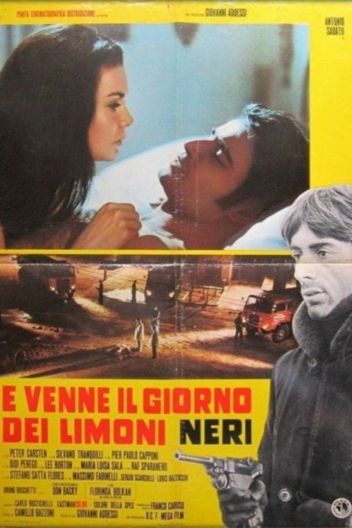 Movie poster for Black Lemons (1970)