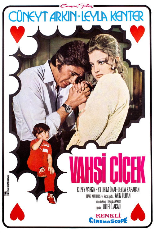 Movie poster for Vahşi Çiçek (1972)