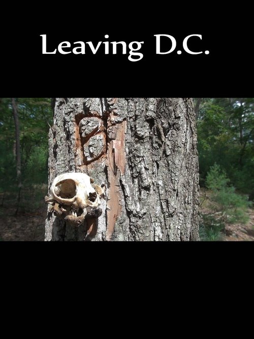 Movie poster for Leaving D.C. (2013)