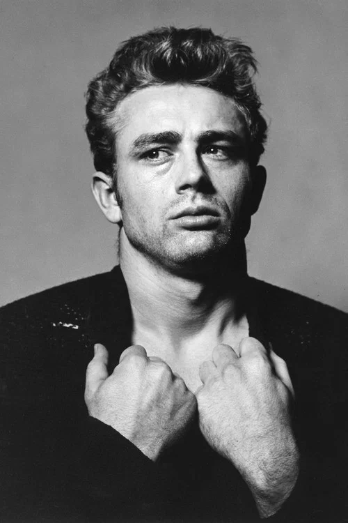 Movie poster for Final Days of an Icon: James Dean