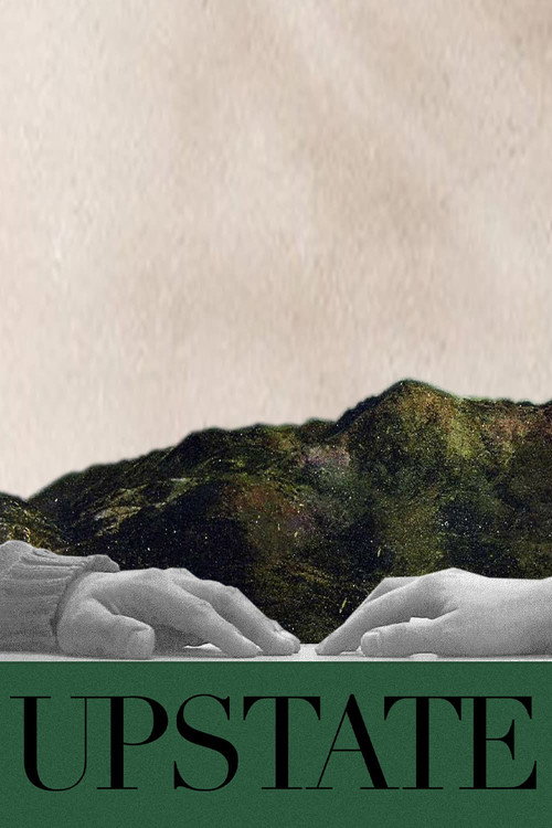 Movie poster for Upstate (2010)