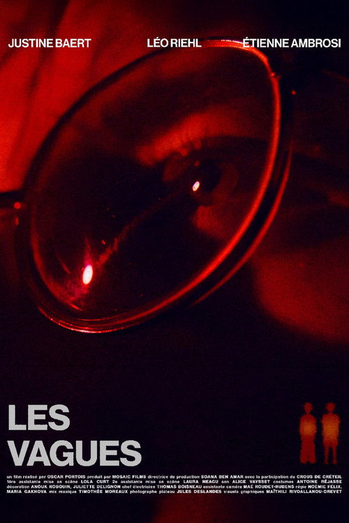 Movie poster for Les Vagues (2025)