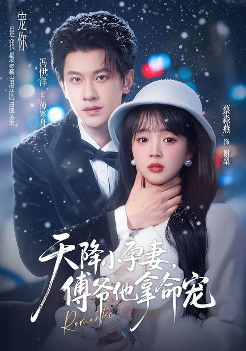 天降小孕妻，傅爷他拿命宠 poster