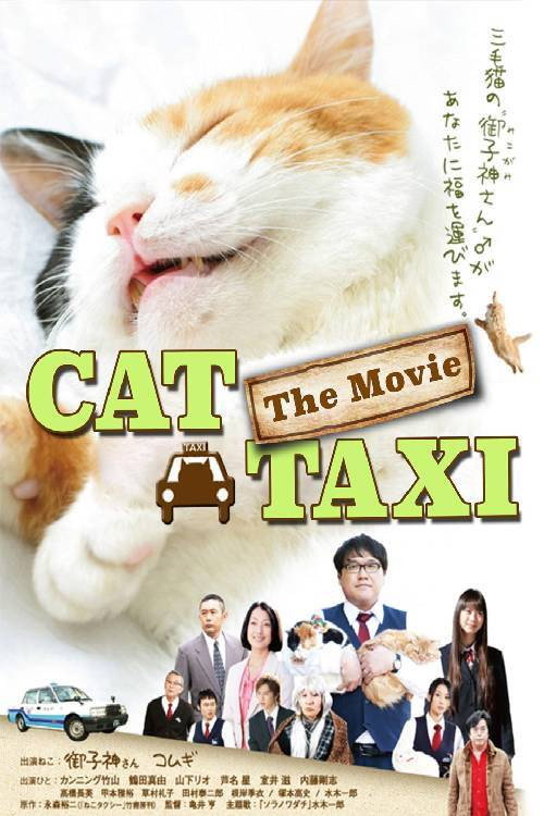Movie poster for Cat Taxi (2010)