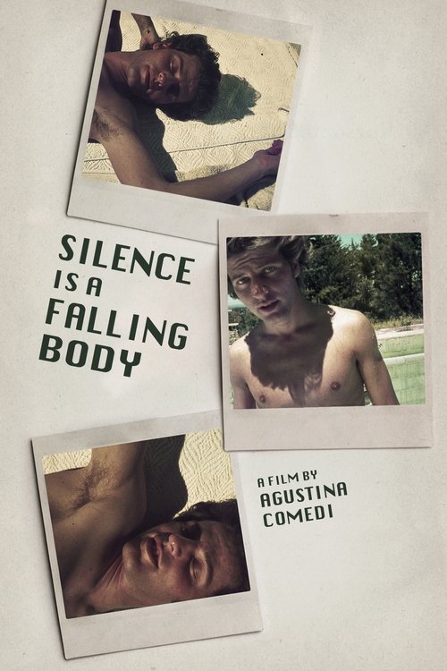 Movie poster for Silence Is a Falling Body (2017)