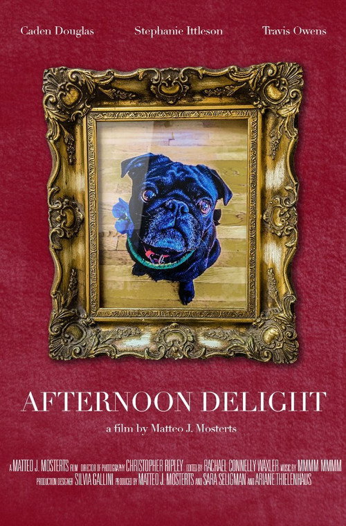 Movie poster for Afternoon Delight. (2017)