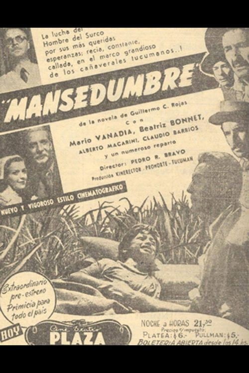 Movie poster for Mansedumbre (1952)