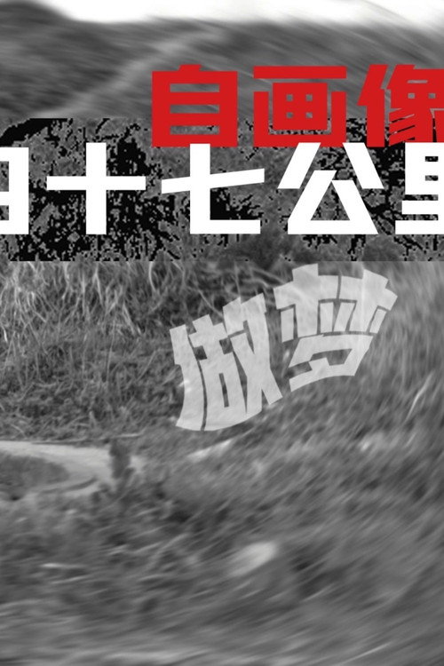 Movie poster for Self-Portrait: Dreaming at 47 KM (2013)