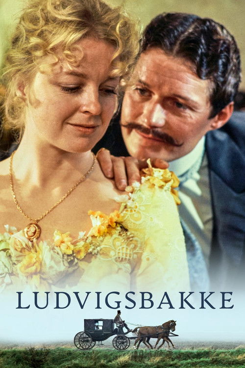 Ludvigsbakke poster