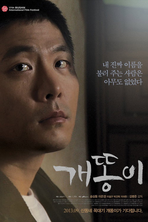 Movie poster for Over and Over Again (2013)