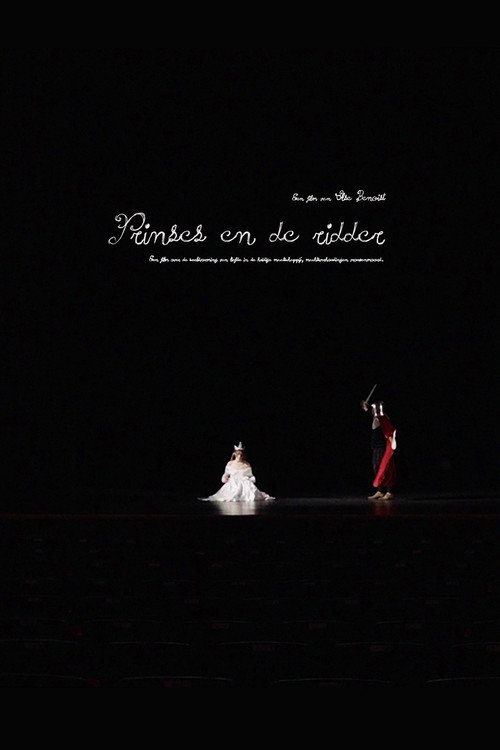 Movie poster for Prinses en de ridder