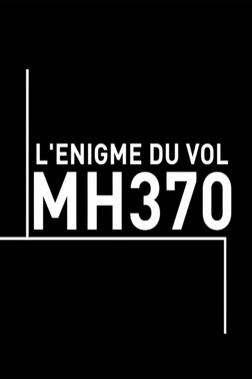 Movie poster for L'énigme du vol MH370 (2015)