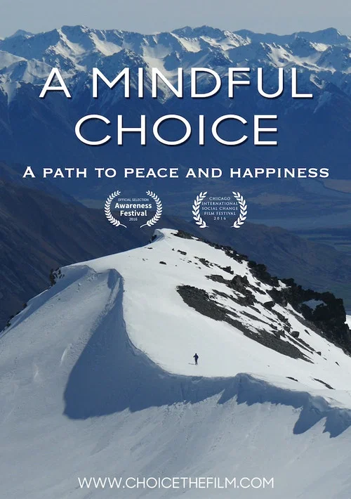 Movie poster for A Mindful Choice (2016)