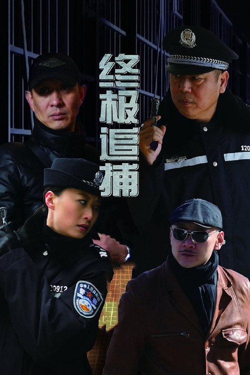 终极追捕 poster