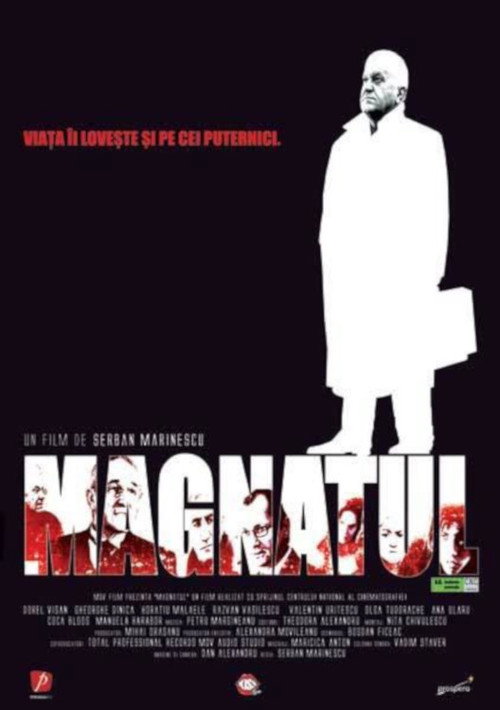 Movie poster for Family Album (2004)