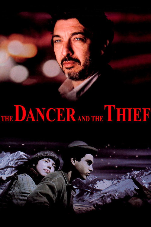 Movie poster for The Dancer and the Thief (2009)