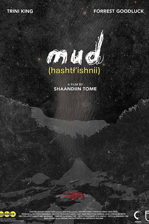 Movie poster for Mud (2018)