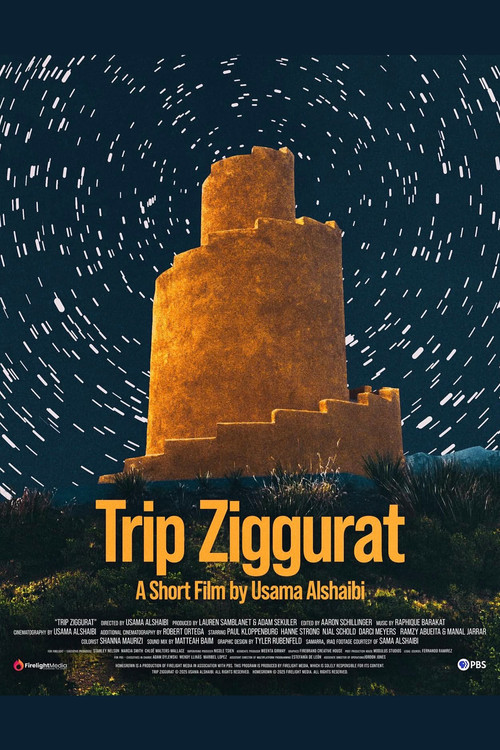 Movie poster for Trip Ziggurat (2026)