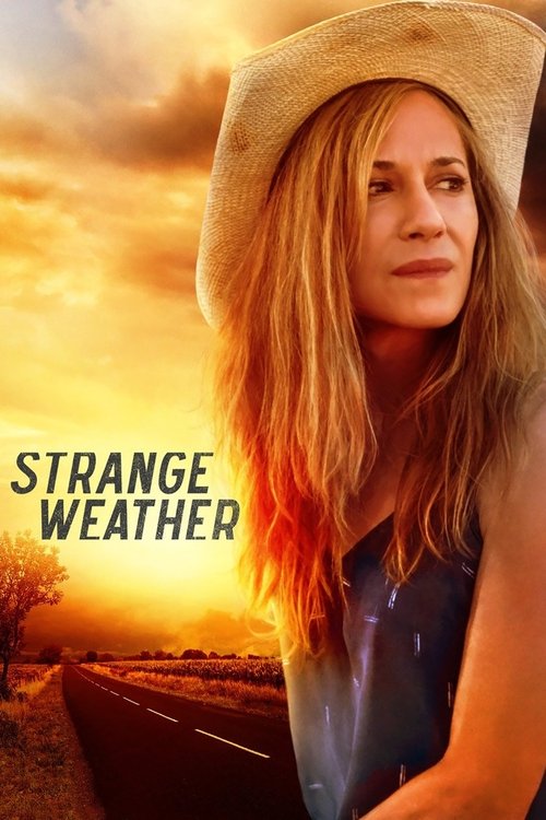 Movie poster for Strange Weather (2016)