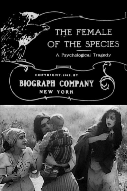 Movie poster for The Female of the Species (1912)