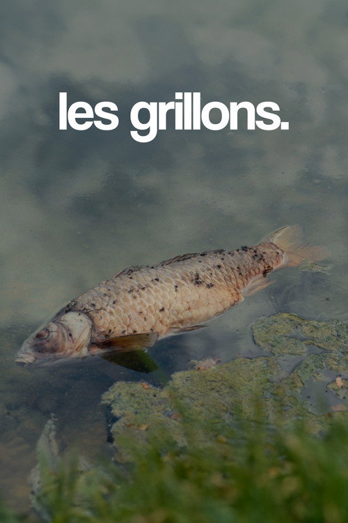 Movie poster for les grillons. (2025)