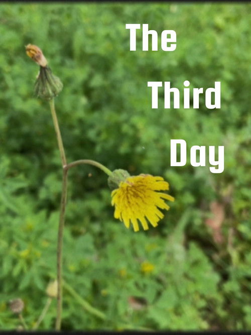 Movie poster for The Third Day (2024)