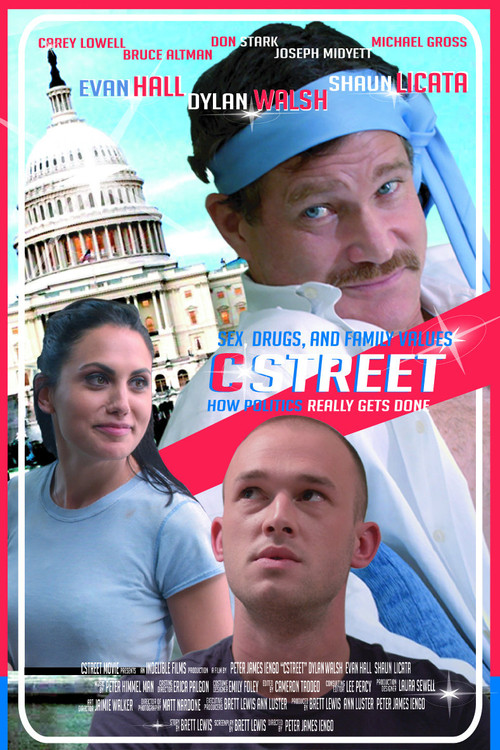 Movie poster for C Street (2016)