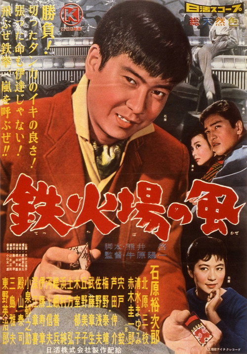 Movie poster for The Cards Will Tell (1960)
