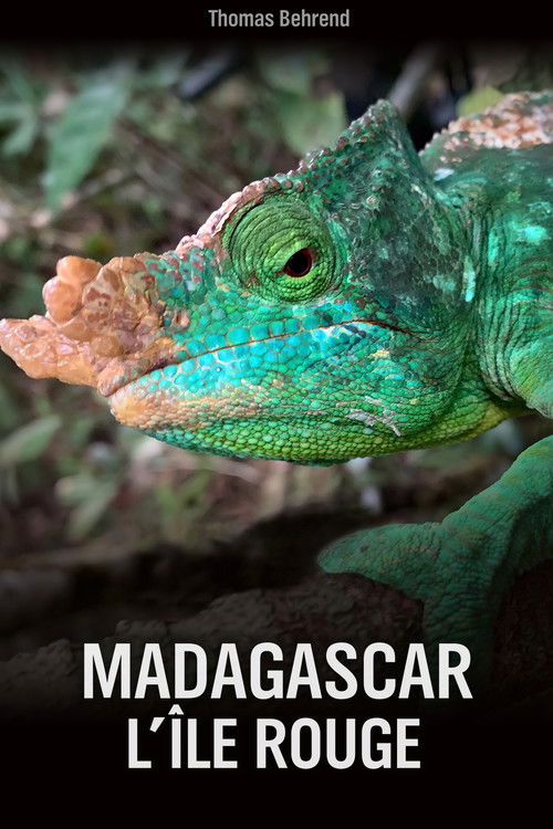 Unbekanntes Madagaskar poster