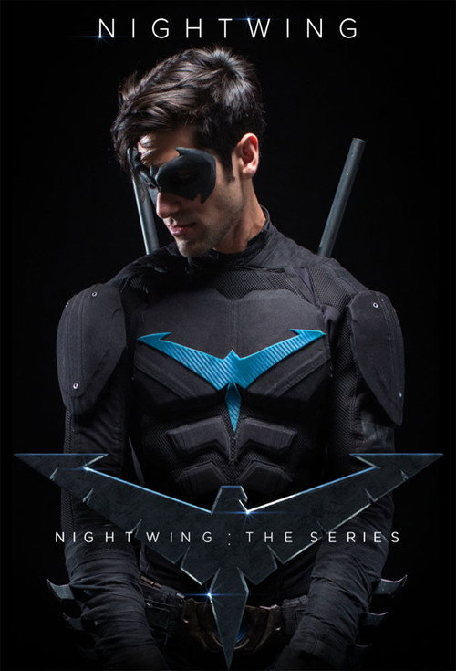 Series poster for Nightwing: The Series (2014)
