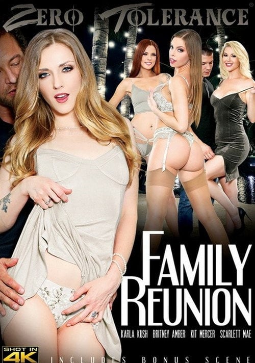 Movie poster for Family Reunion (2019)