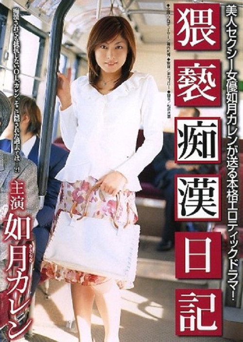 Movie poster for Chikan Diary Obscenity (2005)