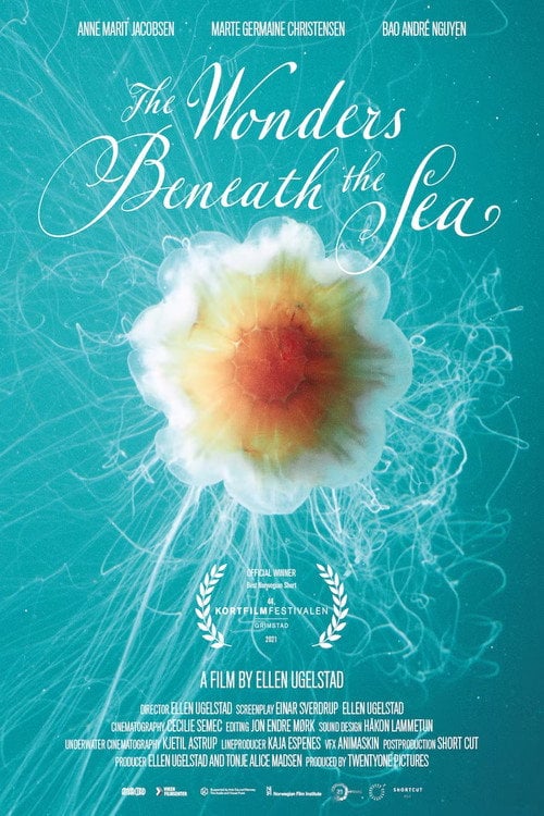 Movie poster for The Wonders Beneath the Sea (2021)