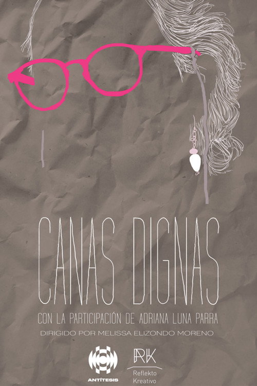 Movie poster for Luna y la rebelión de las canas dignas (2018)
