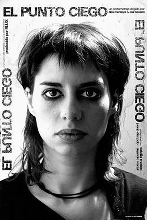 Movie poster for The Blind Spot (2005)