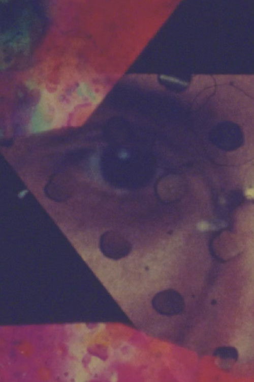 A History of Dancing poster