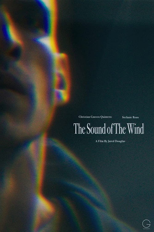 Movie poster for The Sound of the Wind (2020)
