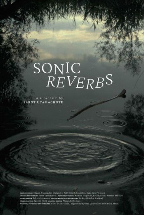 Movie poster for Sonic Reverbs (2022)