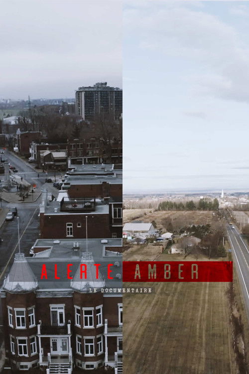 Movie poster for Alerte amber : le documentaire (2022)