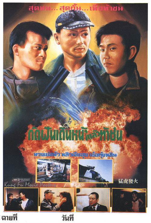 Movie poster for Fury of a Tiger (1989)