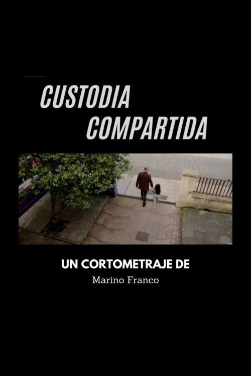 Custodia compartida poster