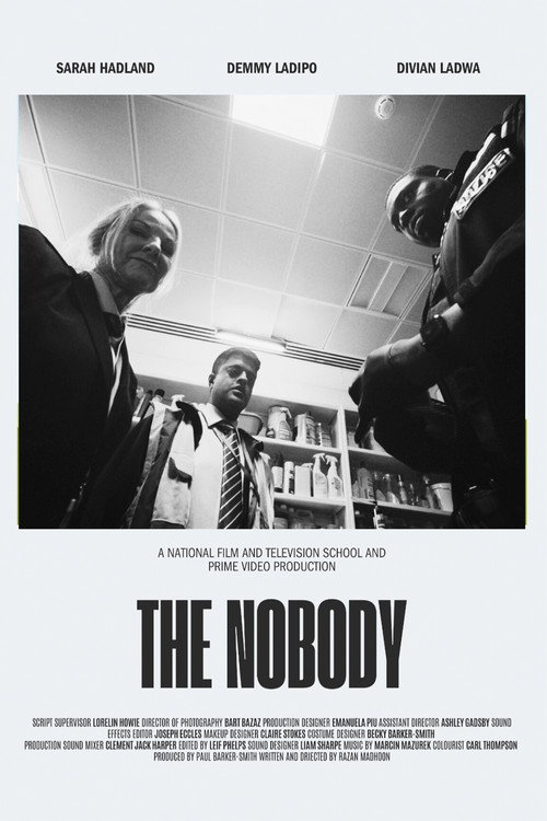 Movie poster for The Nobody (2024)
