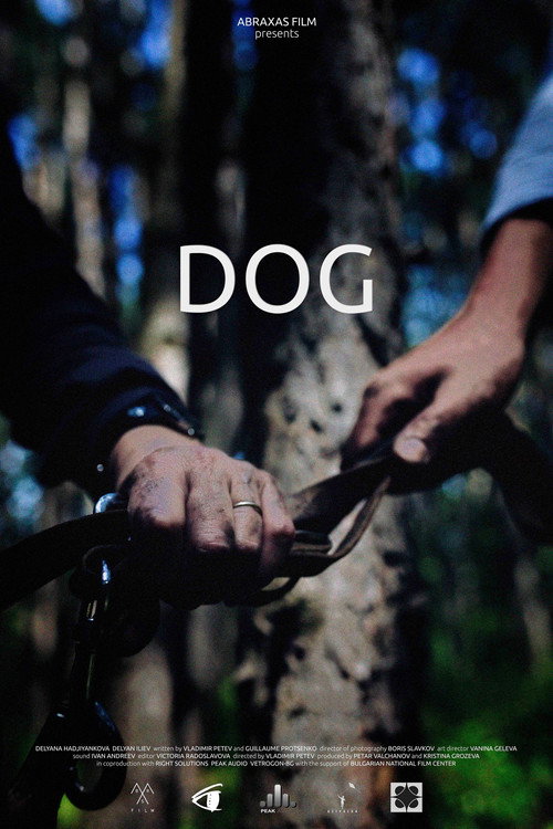 Movie poster for Dog (2016)