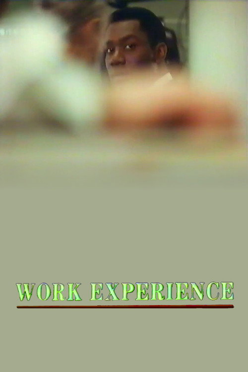 Movie poster for Work Experience (1989)