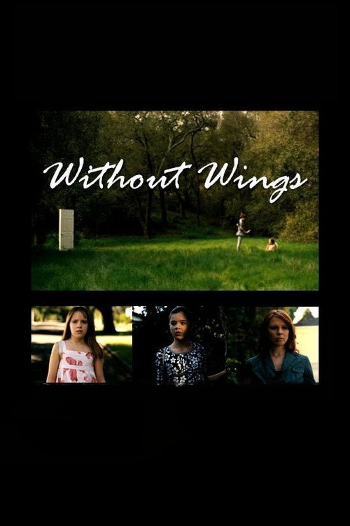 Movie poster for Without Wings (2010)